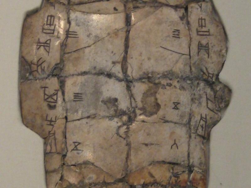 Pigułka z teorią: Orakulologia, czyli nauka o kościach wróżebnych